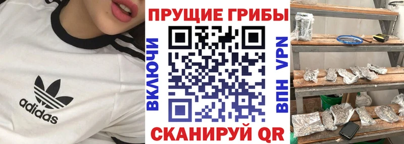 Купить  Верещагино  Галлюциногенные грибы Psilocybe 